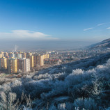 Novoročná príroda