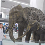 Najkrajšie foto,INDIA