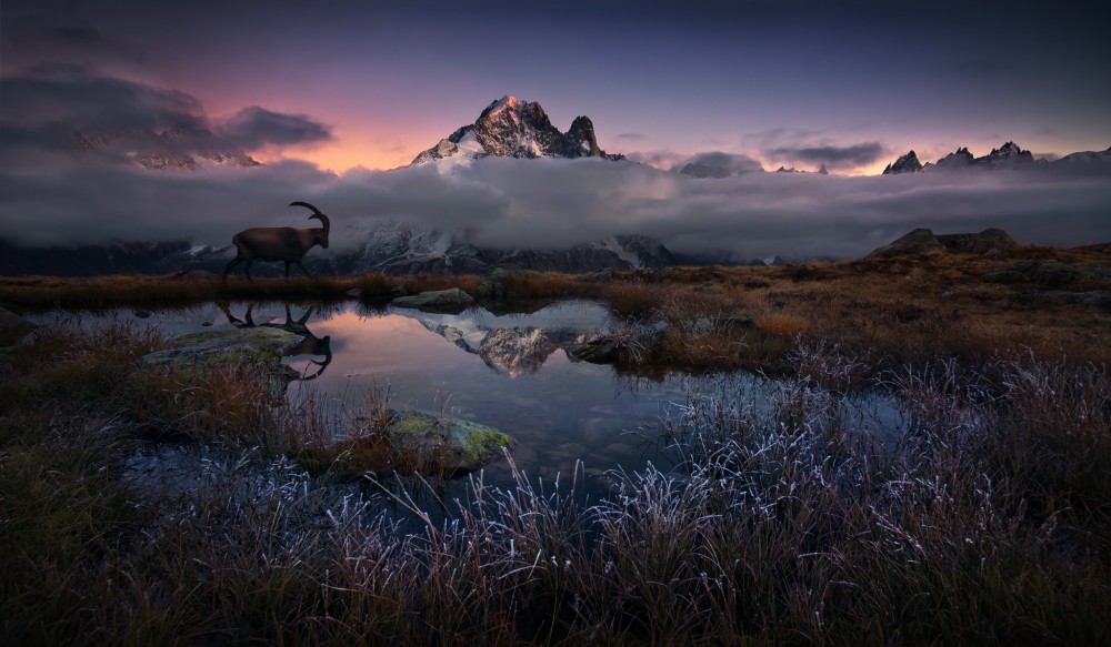 Večerná prechádzka