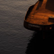 Rust & Gold