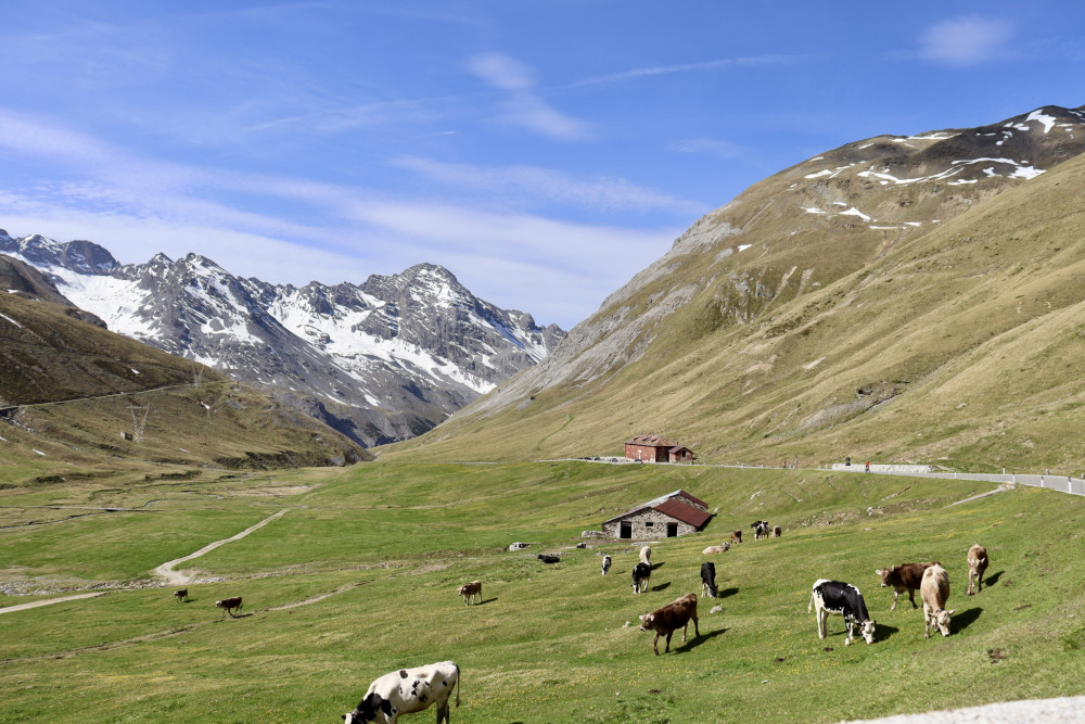 passo Stelvio