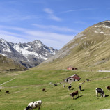 passo Stelvio