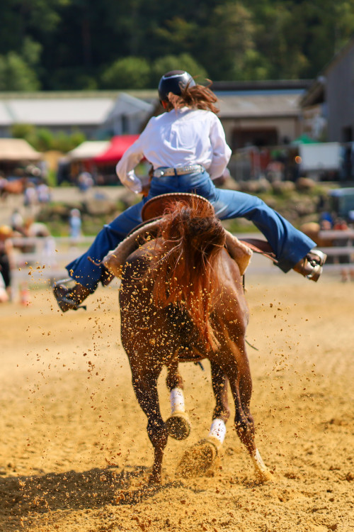 Rodeo