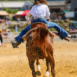 Rodeo