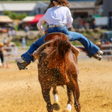 Rodeo