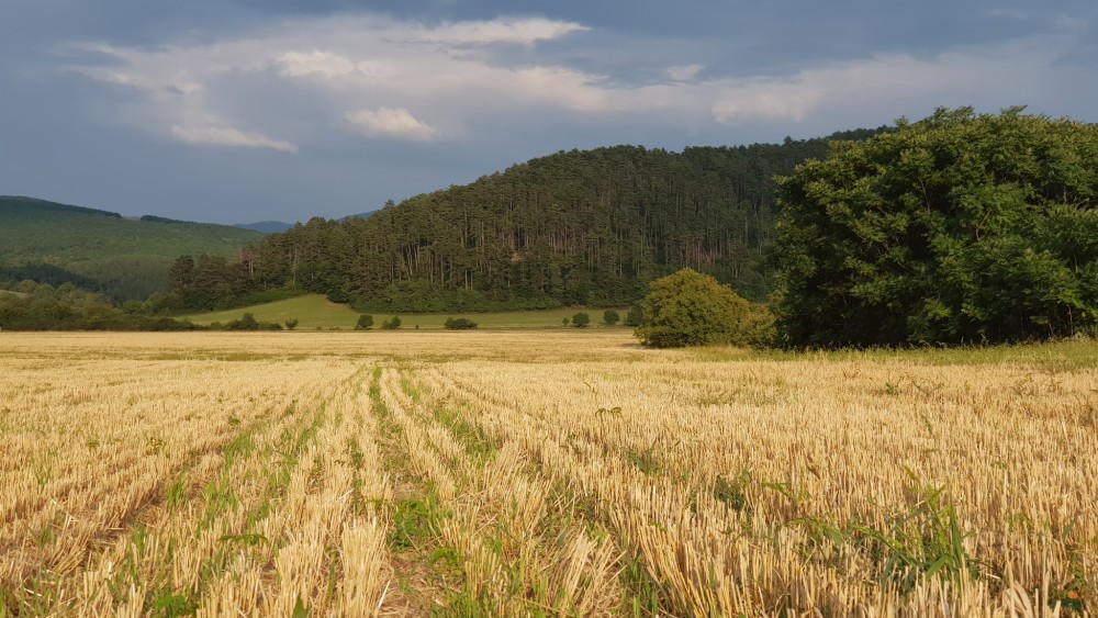 Medzi Hôrkou a Hrádkom