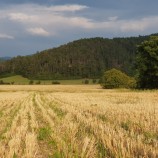 Medzi Hôrkou a Hrádkom