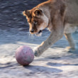 futbalistka