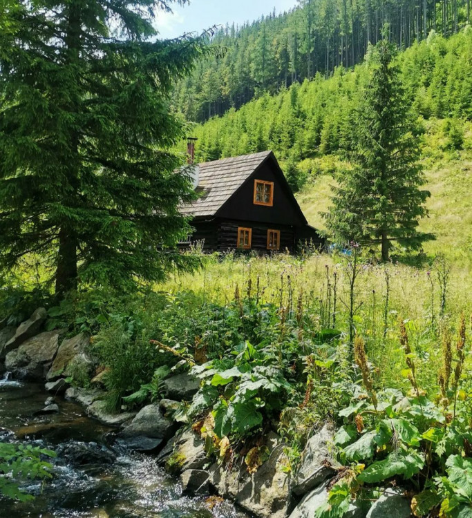 Chata v hlbokom lese