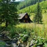 Chata v hlbokom lese