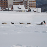 Najkrajšie foto, SLOVENSKO